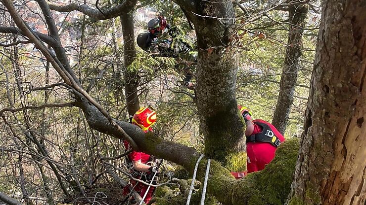 Sauvetage en hauteur des Sapeurs-pompiers professionnels de Bienne - sauvetage d'un pilote de parapente dans un arbre